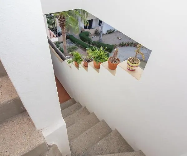 Apartment Your Cabo Penthouse Escape Walk To & Sea!