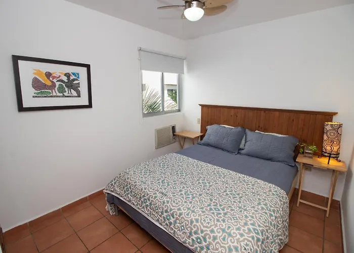 Your Cabo Penthouse Escape Walk To & Sea! Apartment Cabo San Lucas